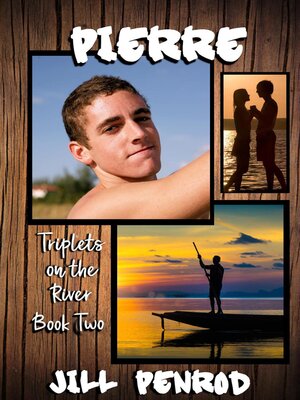 cover image of Pierre